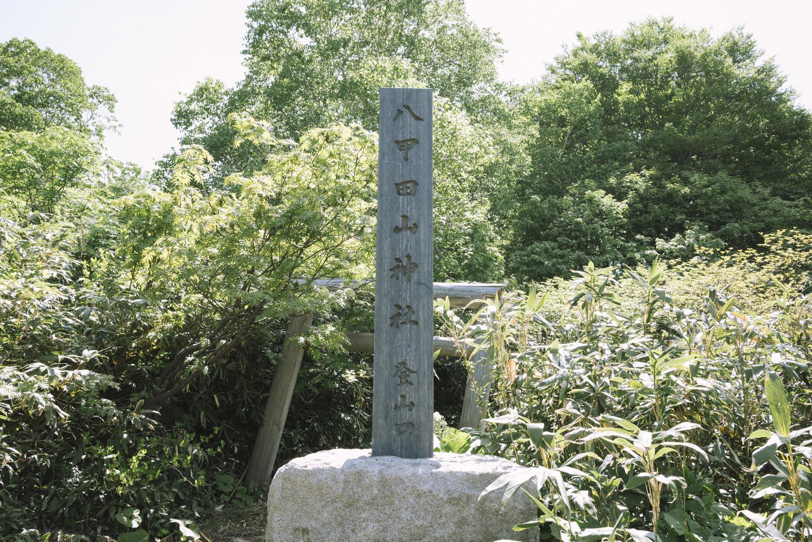 地域に根ざした現地対応をイメージした風景